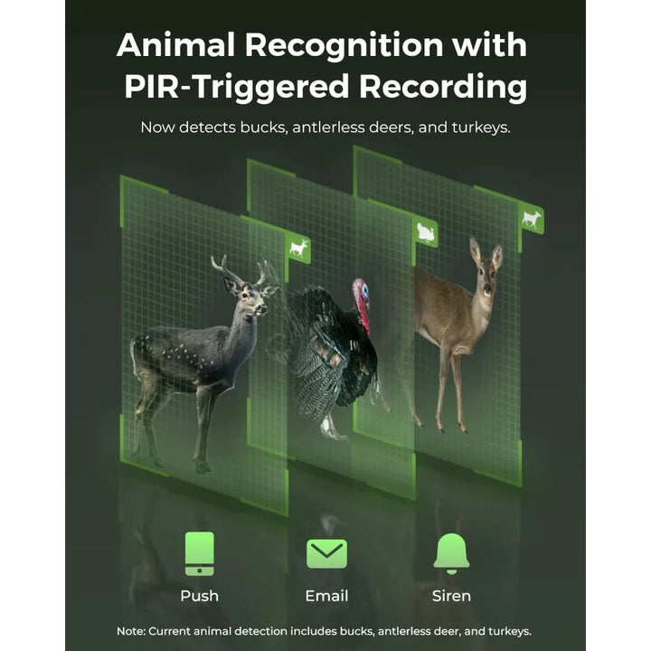 REOLINK 4K Cellular Trail Camera, 3G/4G LTE, 360° Full View, 4K Live Streaming & Playback on Phone,Animal Recognition,No-Glow IR