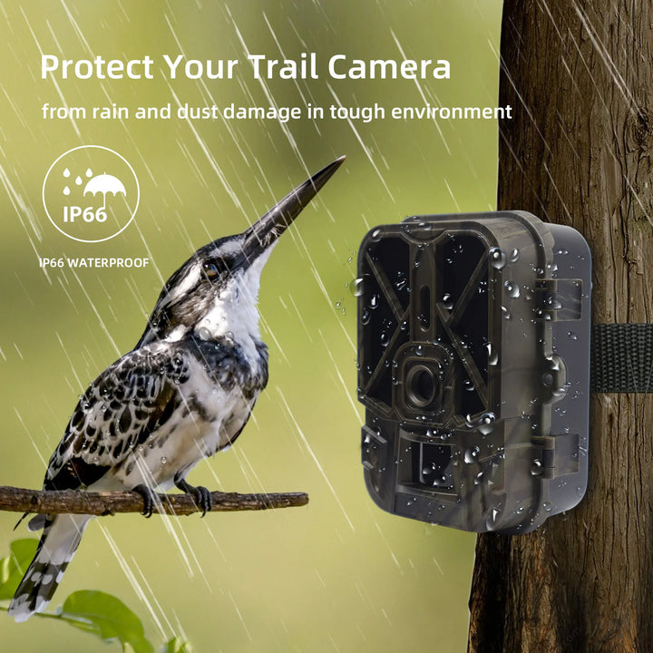 SuntekCam Wildlife Trail Cameras 50MP 1080P 8000MA Lithium battery PIR Sensor Night Vision Photo Traps Wireless Surveillance